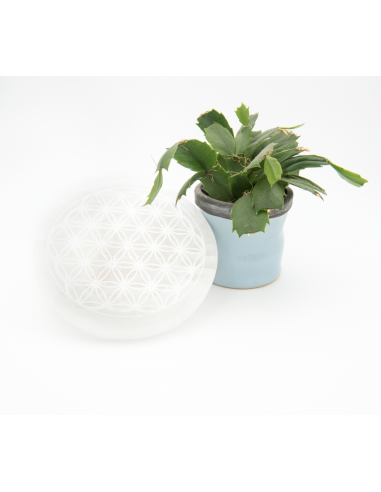 DISQUE SELENITE FLEUR VIE L
